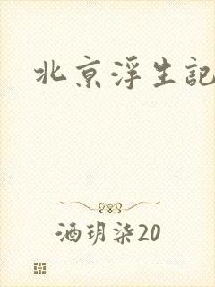 北京浮生记下载