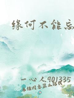 缘何不能忘记你