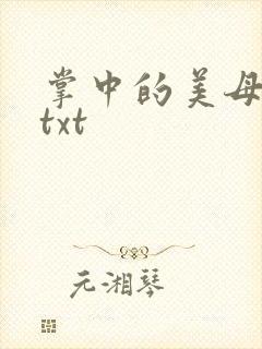 掌中的美母版主txt