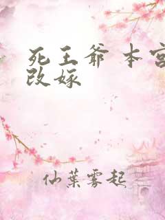 死王爷 本宫已改嫁
