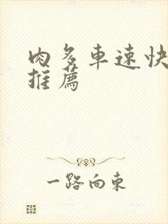 肉多车速快的书推荐