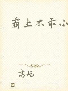 霸上不乖小逃妻