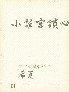 小说宫锁心玉