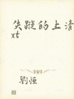 失踪的上清寺txt