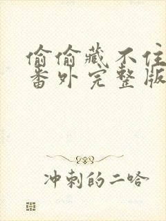 偷偷藏不住新婚番外完整版