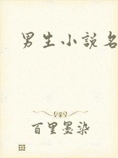 男生小说名字