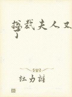 总裁夫人又征婚了