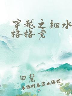 穿越之细水长流格格党