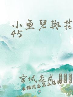 小鱼儿与花无缺45
