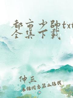 都市少帅txt全集下载