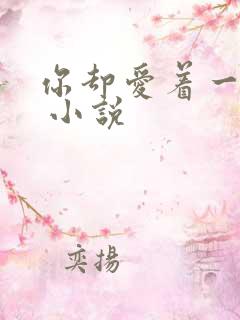 你却爱着一个他 小说