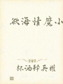 欲海情魔小说