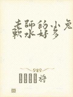 老师的小兔子好软水好多