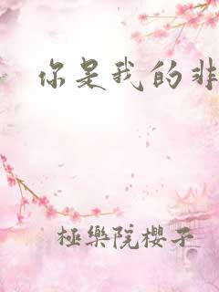 你是我的非卖品