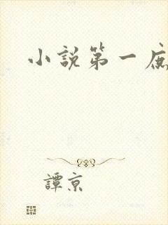 小说第一庶女