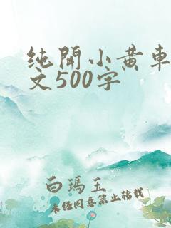 纯开小黄车小短文500字