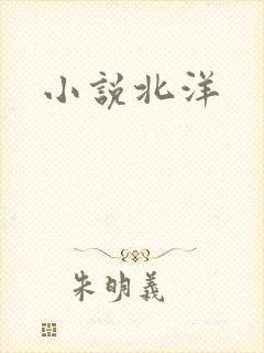 小说北洋
