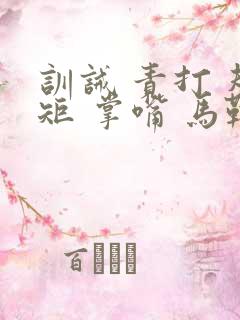 训诫 责打 规矩 掌嘴 马鞭