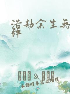 浩劫余生无限子弹