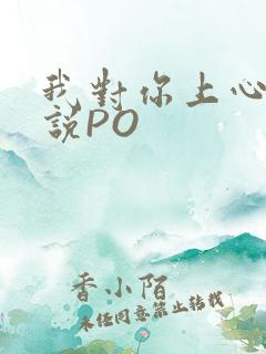 我对你上心了小说PO