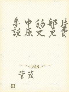 梦中的那片海小说原文免费阅读