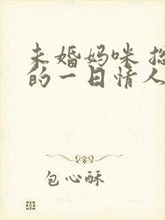 未婚妈咪 总裁的一日情人