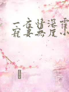 一夜情深霍先生宠妻无度小说免费阅读