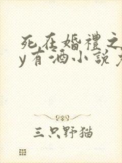 死在婚礼之前by有酒小说免费阅读