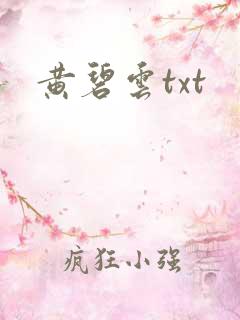 黄碧云txt
