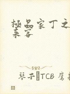 极品家丁之远方来客