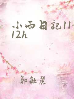 小雨日记11-12h