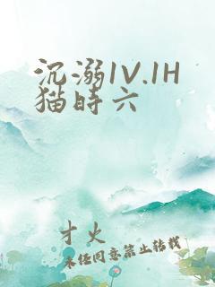 沉溺1V.1H猫时六