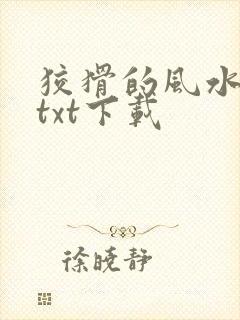 狡猾的风水相师txt下载