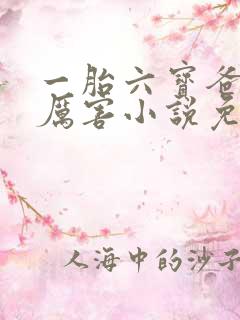 一胎六宝爸比好厉害小说免费阅读