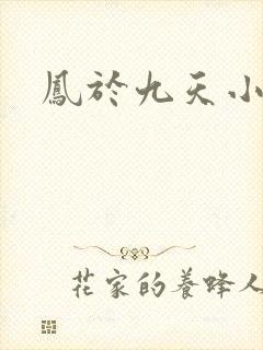 凤于九天小说