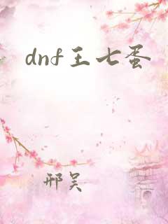 dnf王七蛋