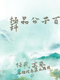 极品公子百度百科