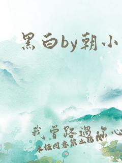 黑白by朝小诚