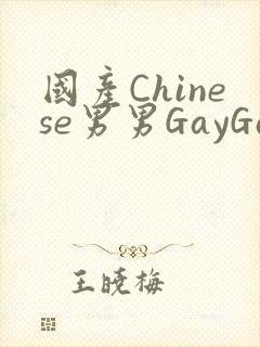 国产Chinese男男GayGayAPP