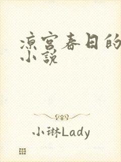 凉宫春日的忧郁小说