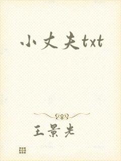 小丈夫txt