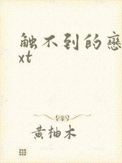 触不到的恋人txt