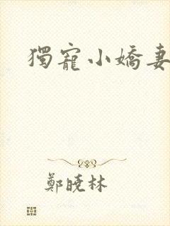 独宠小娇妻