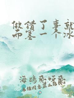 做错了事就往下面塞一个冰球作文