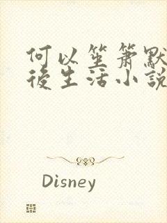 何以笙箫默之婚后生活小说