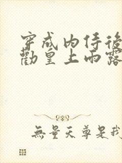 穿成内侍后总在劝皇上雨露均沾