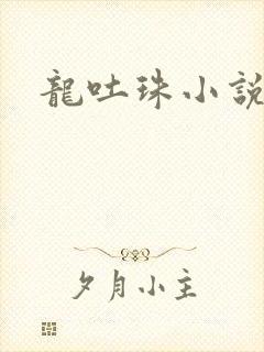 龙吐珠小说