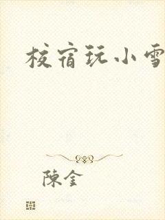 校宿玩小雪