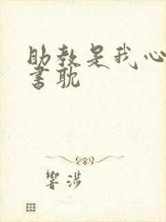 助教是我心尖宠书耽