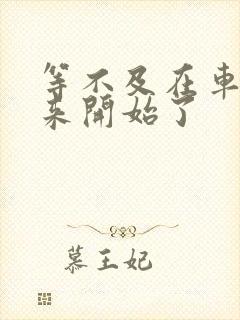 等不及在车里就来开始了